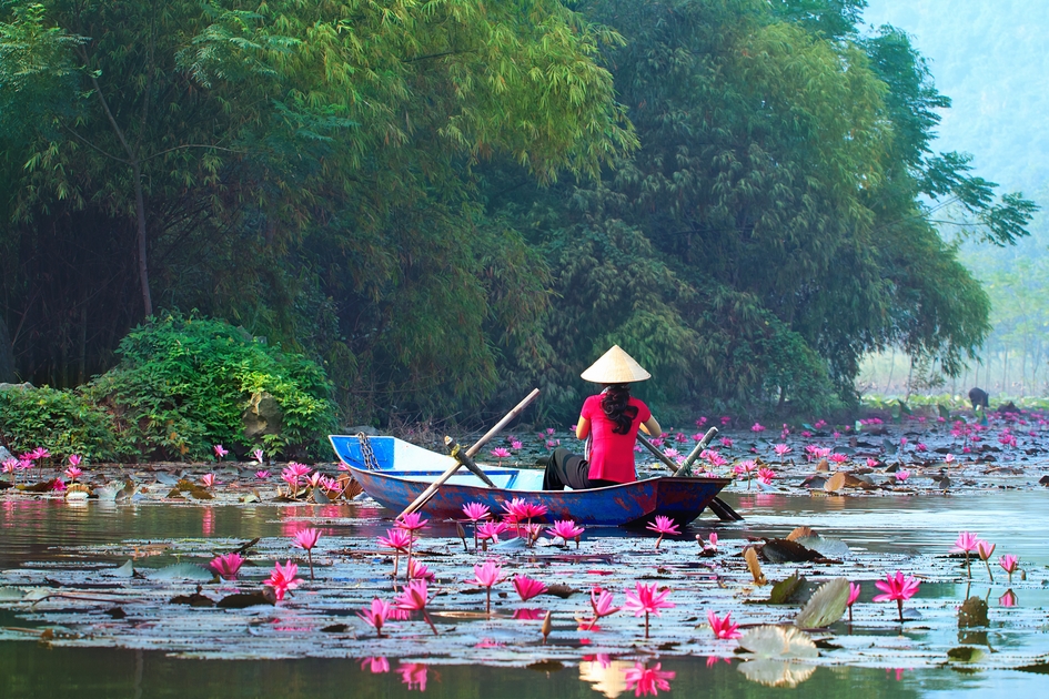 TRANH VIỆT NAM